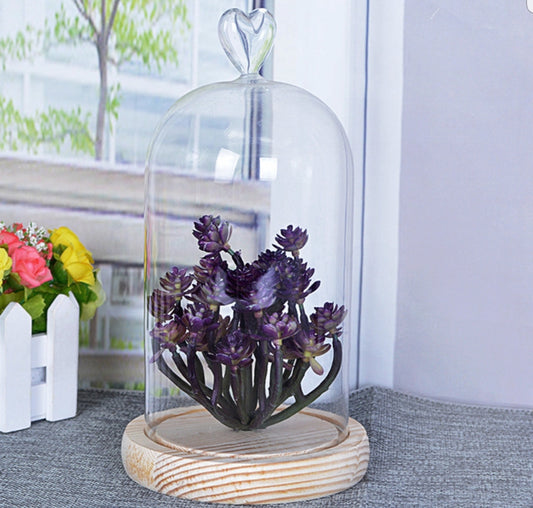ALEXIO DECOR DOME
