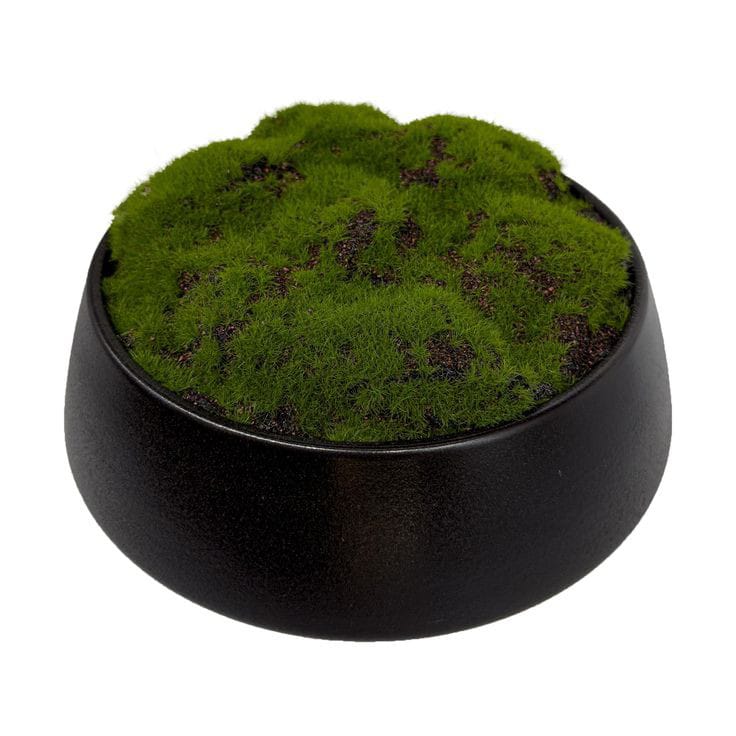 LOCHTE ARTIFICIAL PLOTTED PLANT ' 24