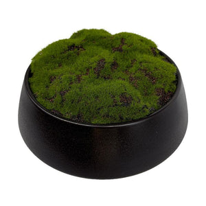 LOCHTE ARTIFICIAL PLOTTED PLANT ' 24