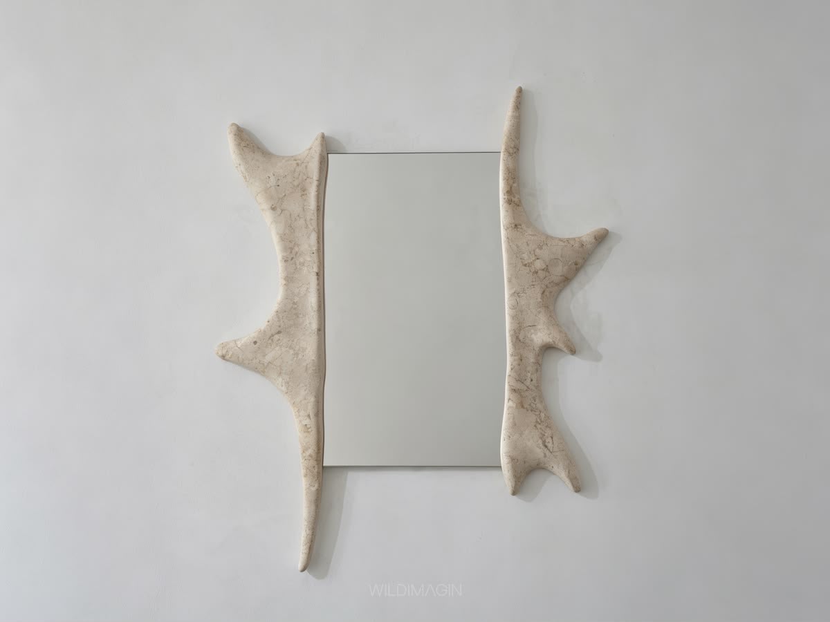 XTERRA DECORATIVE MIRROR '26