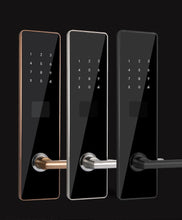 Load image into Gallery viewer, Rowan Smart Lock Door Handle