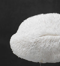 Load image into Gallery viewer, WESHCUBB DECORATIVE ORNAMENT