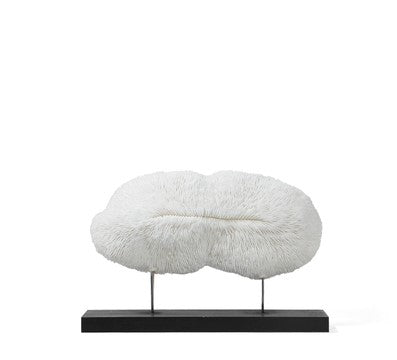 WESHCUBB DECORATIVE ORNAMENT