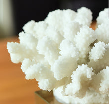 Load image into Gallery viewer, Eugenie Sea Coral Ornament