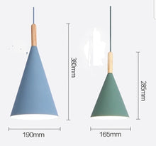 Load image into Gallery viewer, BRANDI PENDANT LIGHT
