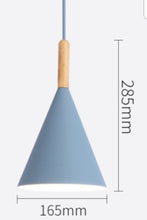 Load image into Gallery viewer, BRANDI PENDANT LIGHT