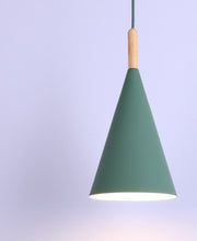 Load image into Gallery viewer, BRANDI PENDANT LIGHT