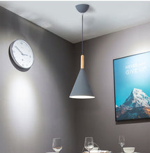Load image into Gallery viewer, BRANDI PENDANT LIGHT