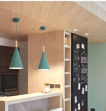 Load image into Gallery viewer, BRANDI PENDANT LIGHT