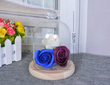 Load image into Gallery viewer, ALEXIO DECOR DOME