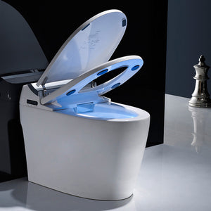 COSIMA INTEGRATED SMART TOILET