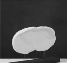 Load image into Gallery viewer, WESHCUBB DECORATIVE ORNAMENT