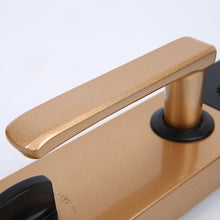 Load image into Gallery viewer, Finley Smart lock Door Handle