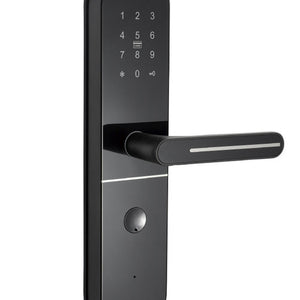 Dexter Smart Lock  Door Handle
