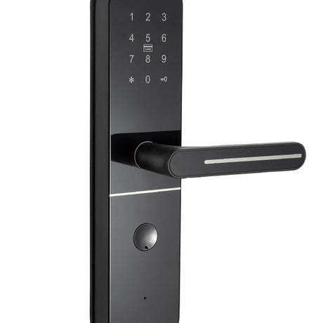Dexter Smart Lock  Door Handle